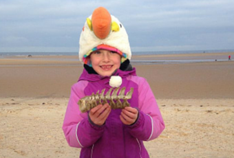 Things to do in North Norfolk with a 7 Year Old